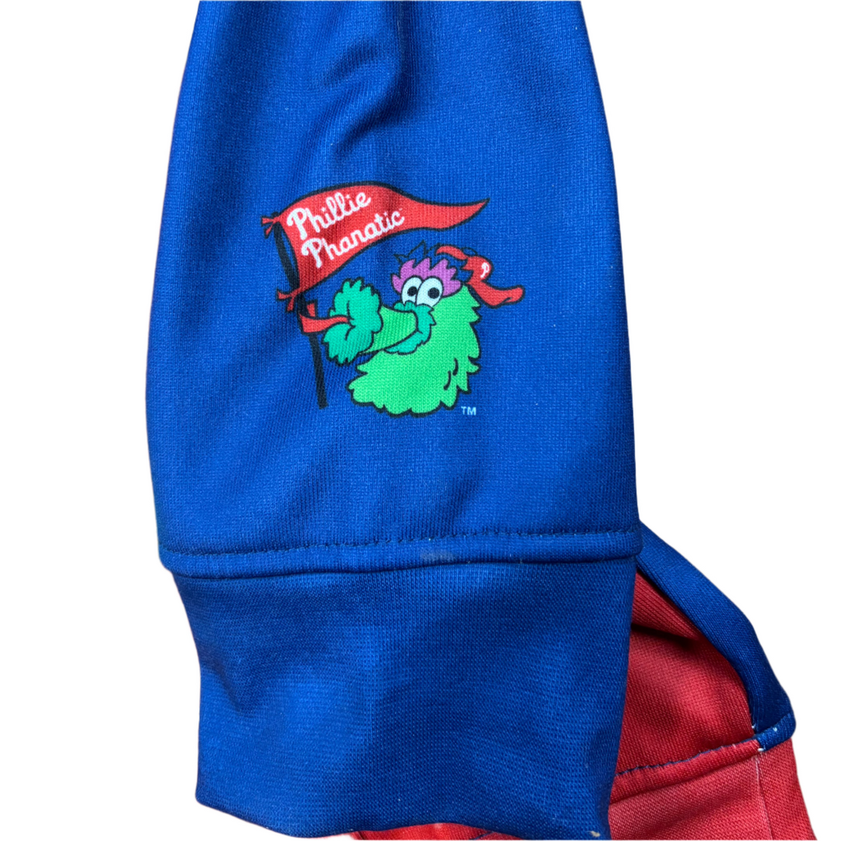 FOCO Phillie Phanatic Hoodie – Reading Fightin Phils Official Store