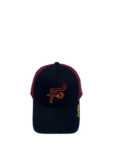 Harry Potter House Hat - Gryffindor