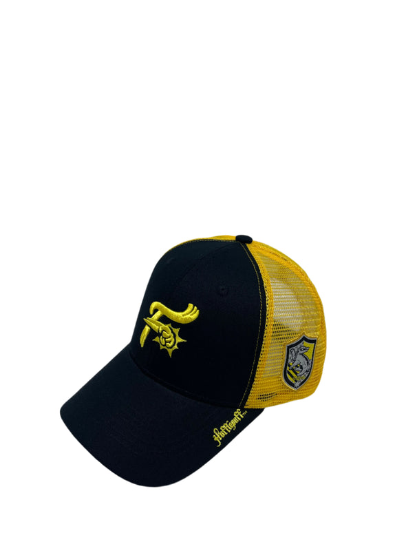 Harry Potter House Hat - Hufflepuff