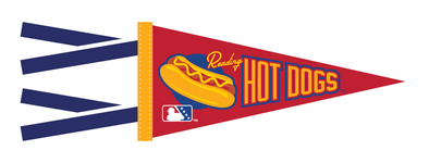 Oxford Pennant Reading Hot Dogs 4x9 Pennant