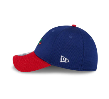 New Era Philadelphia Phillies BP Blue Phanatic Stretch-Snap Hat